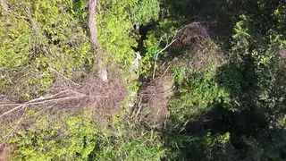 Outdoor Trail Blowjob Captured by Drone Camera