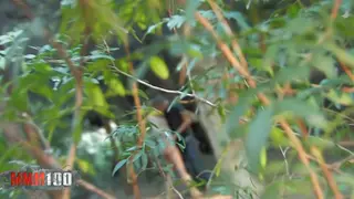 Blonde MILF Gives Outdoor Blowjob to Boyfriend