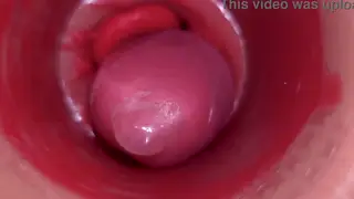 BBW Camgirl Offers Extreme POV Cervix View