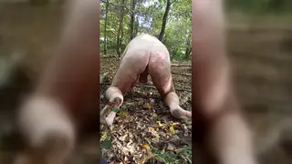 Chubby European Bear Endures Spanking and Toy Play Outdoors