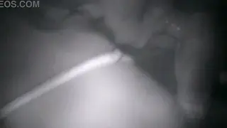 Girlfriend Shares Gloryhole Blowjob With Mystery Stranger