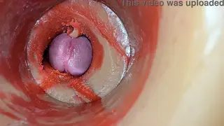 Blowjob Leads to Internal Creampie and Swallow Finish
