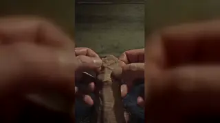 Hairy Bear Works His Uncut Cock During Massage