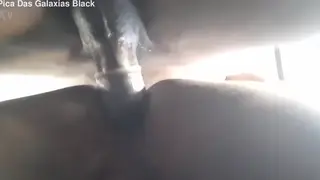 Latino Bottom Takes BBC Bareback in Quick Clip