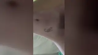 Amateur Couple Finishes with a Quick Cumshot