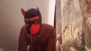 Pierced Pup Cleans Up in Steamy Shower