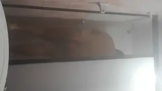 Chubby Bear Shows Off His Ass in the Bath