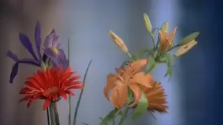 Vintage Beauty Handles Two Men in Classic Threesome