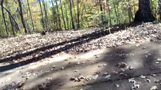 Outdoor Massage Leads to a Deepthroat Surprise in the Woods