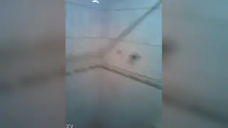 Amateur Clip Captures Intense Room Encounter