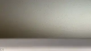 Couple Enjoys Passionate Sex Heard Through Window