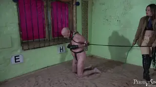 Novice Sub Learns the Ropes in Strict First Session