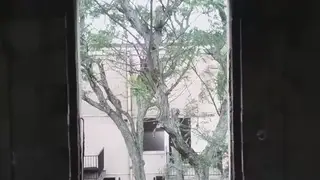Teen Couple Gets Naughty Outdoors in Public