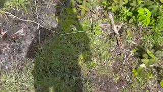 Petite Latina Takes Anal Creampie Outdoors in POV