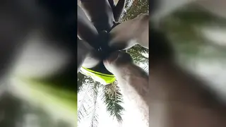Mature Daddy Takes Partner Doggy Style Under Open Sky