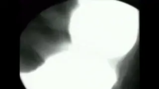 Brunette MILF Works a Deep Throat POV Blowjob