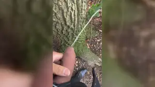 Latino Stud Gets Blown Outdoors Before Cumming on Lips