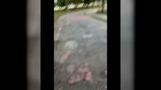 Blonde Wanderer Meets a Black Stud in the Woods for Raw Sex