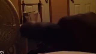 Solo Guy Strokes Himself in Brief Clip