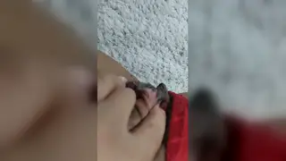 Arab MILF Compilation Mixes Pegging, Anal and POV Blowjobs
