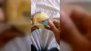 Oiled Arab Hunk Strokes His Massive Cock to Climax