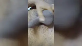 Hairy Indian Twink Exposes Uncut Cock on Webcam