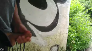 Guy Strokes His Big Cock Outdoors in Public View