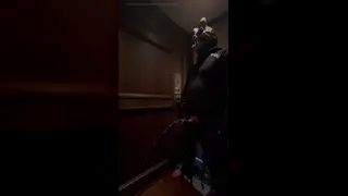 Hairy Bear Pisses in Elevator During Solo Session
