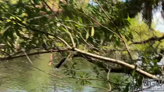 Brunette Gives a Blowjob Outdoors Before Pissing