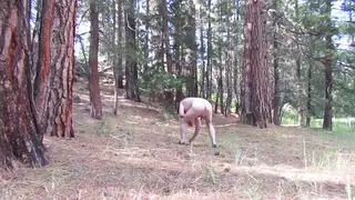 Amateur Woman Strips Nude While Gathering Wood