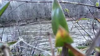 Newbie Gives First Deepthroat in Public Park