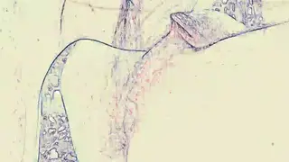 Compilation Captures Rimming and Blowjob Under Club Lights