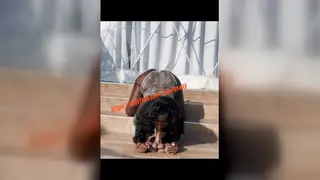 European Teen Sucks Two Black Cocks Outdoors Before Strangers