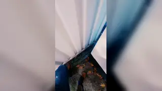 European Exhibitionist Releases Public Cumshot at Gas Station
