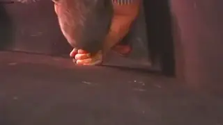 Anonymous Guy Gets Serviced Through Gloryhole Partition