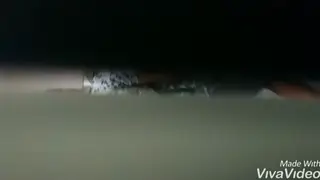 Discreet Restroom Blowjob Inside a Public Facility