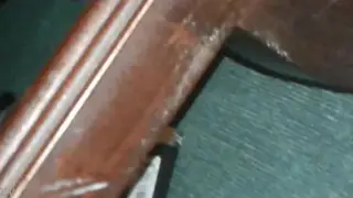 Amateur Clip Captures an Intense Home Encounter