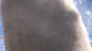 Busty MILF Commands Outdoor Foot Worship in Sheer Stockings