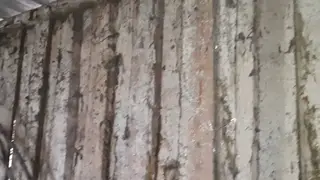 Romantic Lesbian Couple Share Mutual Orgasm in a Hut