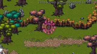 Amateur Recording Captures a Raw Encounter