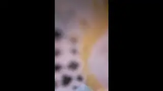 Latina Gives Slow Blowjob in Intimate Close-Up