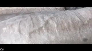 Muscular Latino Strokes His Massive BBC To Explosive Finish