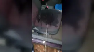 Mature European Man Pisses and Strokes in Parked Car