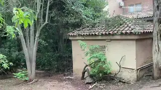 European Hunks Fuck Raw in a Public Orgy