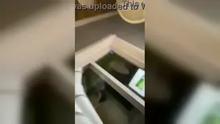 Amateur Beauty Reaches Intense Solo Climax