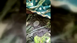 Indian MILF Shares a Wet 69 and Swallows Deep