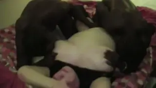 Stepmom Endures BBC Gangbang While Husband Watches