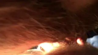 Hairy Bear Enjoys Outdoor Blowjob on Abandoned Grounds