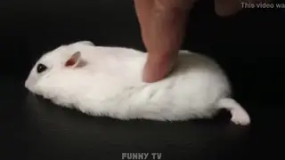 Fit Guy Enjoys a Slow, Wet Blowjob from an Eager Partner