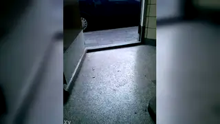 Solo Guy Strokes His Hard Cock Outdoors in Public